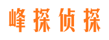 绿春市调查公司